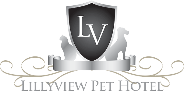 lillyview pet hotel